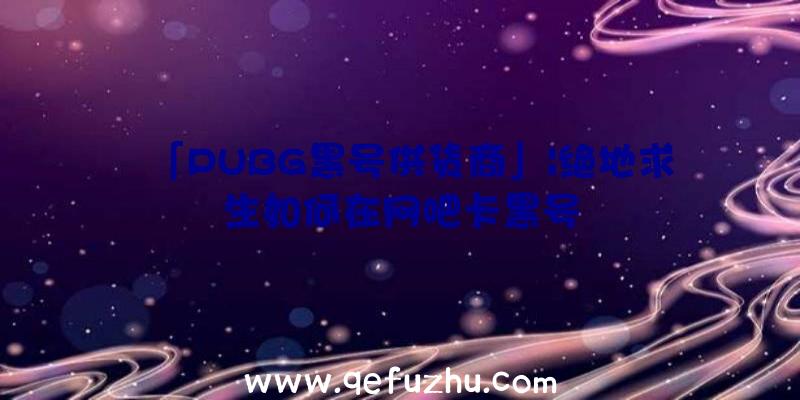 「PUBG黑号供货商」|绝地求生如何在网吧卡黑号